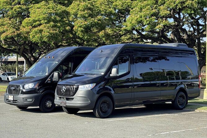 Honolulu Airport Transfer + Flower Lei Greeting - Why This Transfer Works for Many Travelers