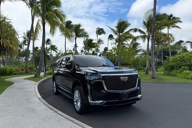 Honolulu Airport Transfer to Waikiki, Kahala & Cruise Ship Port - Value and Cost Analysis