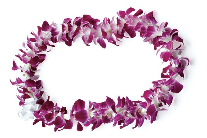 Honolulu Airport: Waikiki Private Transfer With Lei Greeting - Included Amenities