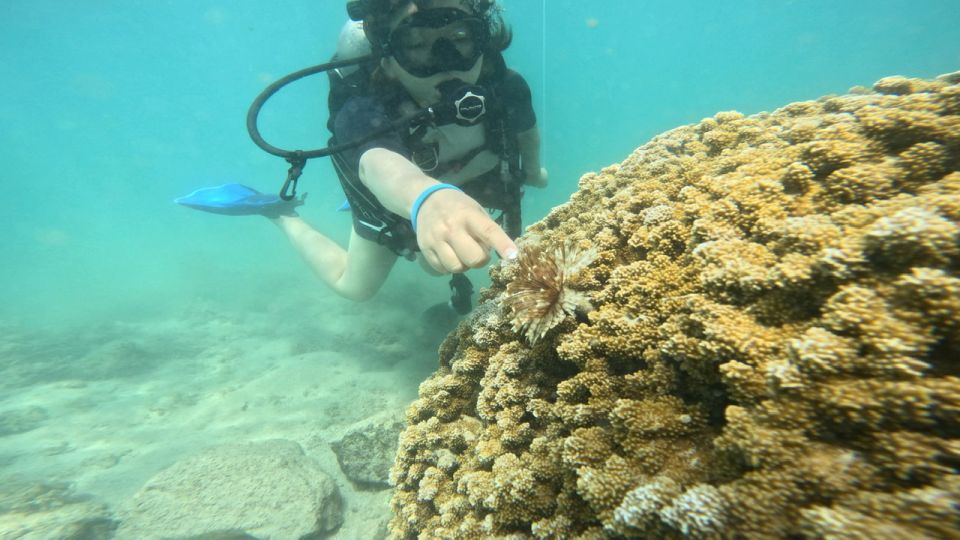 Honolulu: Beginner Scuba Diving Tour With Free Videos - Whats Included in the Tour Package