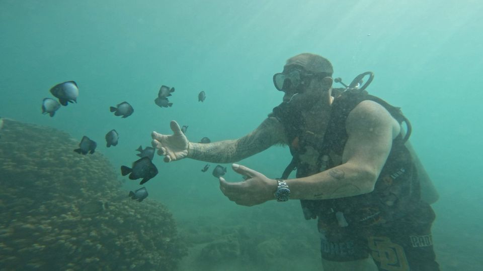 Honolulu: Beginner Scuba Diving Tour With Free Videos - Recap