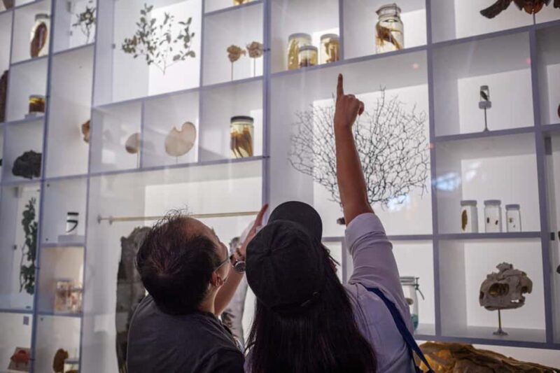 Honolulu: Bishop Museum General Admission Ticket - The Real Value for Travelers