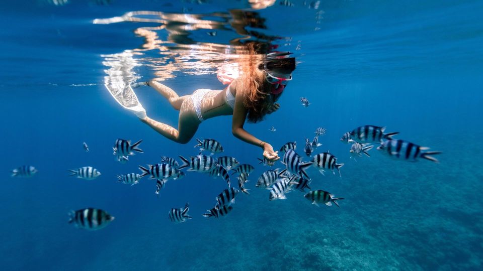 Honolulu: Hanauma Bay State Park Snorkeling Trip - Inclusions and Whats Provided