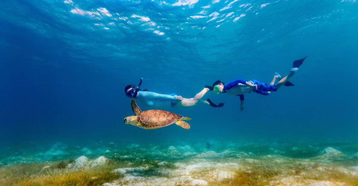 Honolulu: Hanauma Bay State Park Snorkeling Trip - Booking and Reservation Process