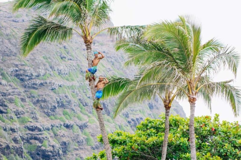 Honolulu: Ka Moana Luau Dinner and Show with Transportation - An Honest, Detailed Look at the Ka Moana Luau