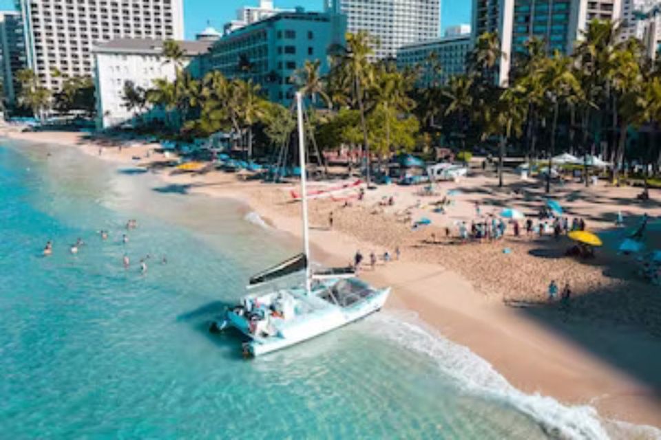 Honolulu: Marine Life Boat Tour on Waikiki Catamaran Charter - Key Points