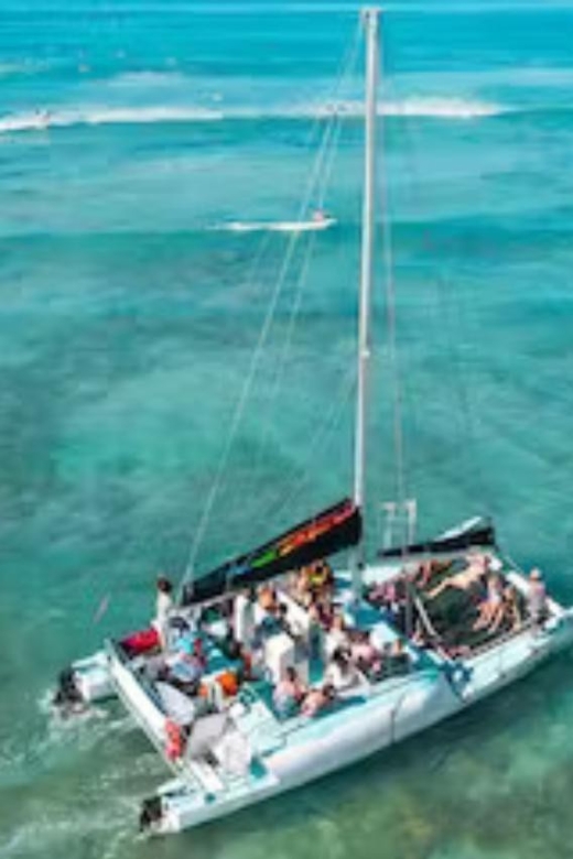 Honolulu: Marine Life Boat Tour on Waikiki Catamaran Charter - Highlights of the Excursion