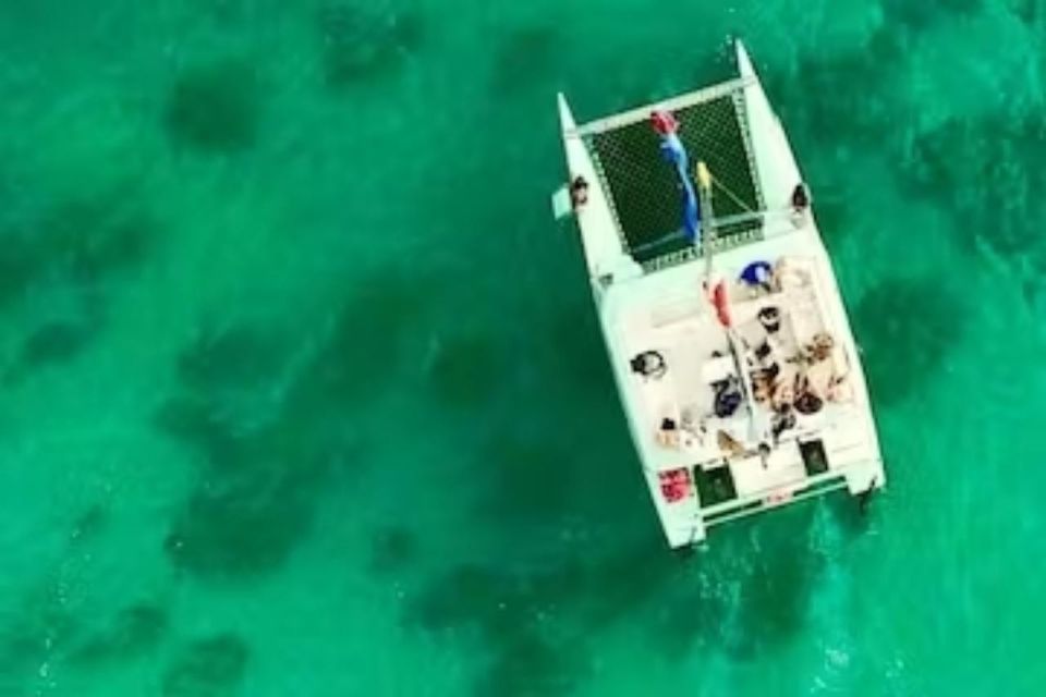 Honolulu: Marine Life Boat Tour on Waikiki Catamaran Charter - Observing Local Marine Wildlife