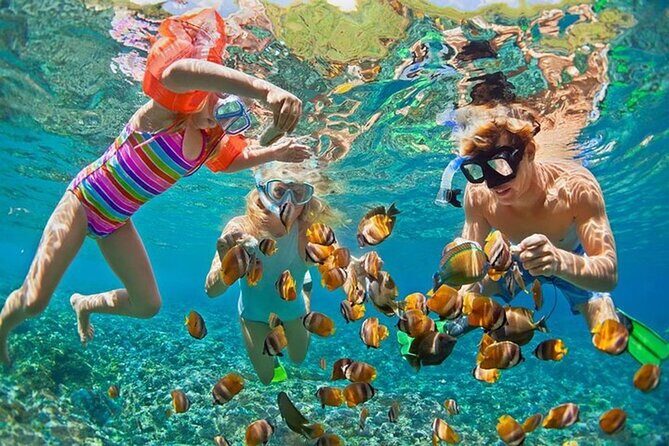 Honolulu Sailing and Snorkeling Activity - Introduction