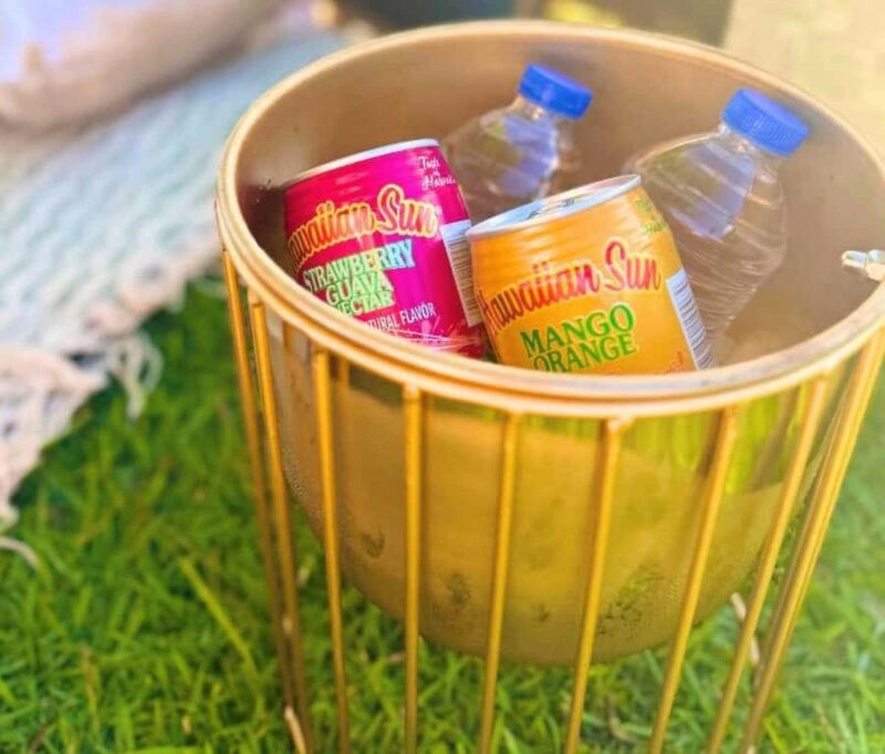 Honolulu: Secluded Beachside Luxury Picnic & Painting - Key Points