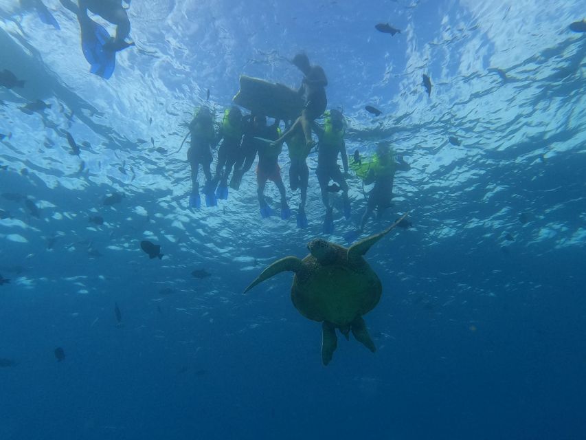 Honolulu: Snorkel With Turtles, Water Scooter, Paddleboard - Duration and Schedule
