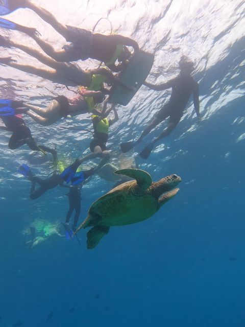 Honolulu: Snorkel With Turtles, Water Scooter, Paddleboard - Cancellation Policy