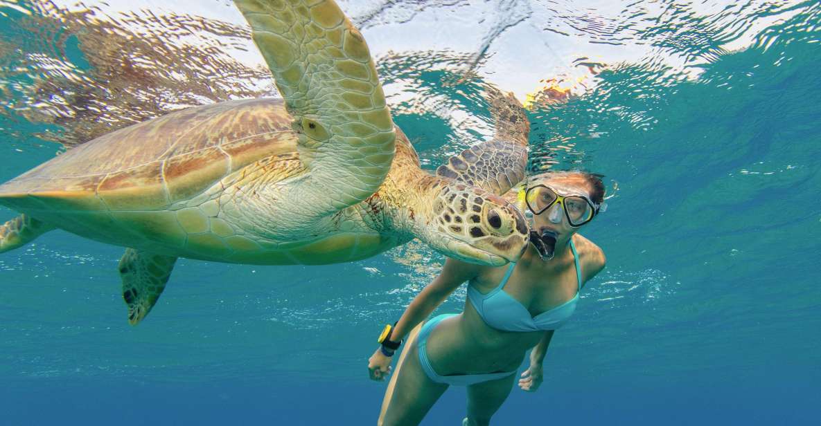 Honolulu: Snorkel With Turtles, Water Scooter, Paddleboard - Van Pickup and Drop-off