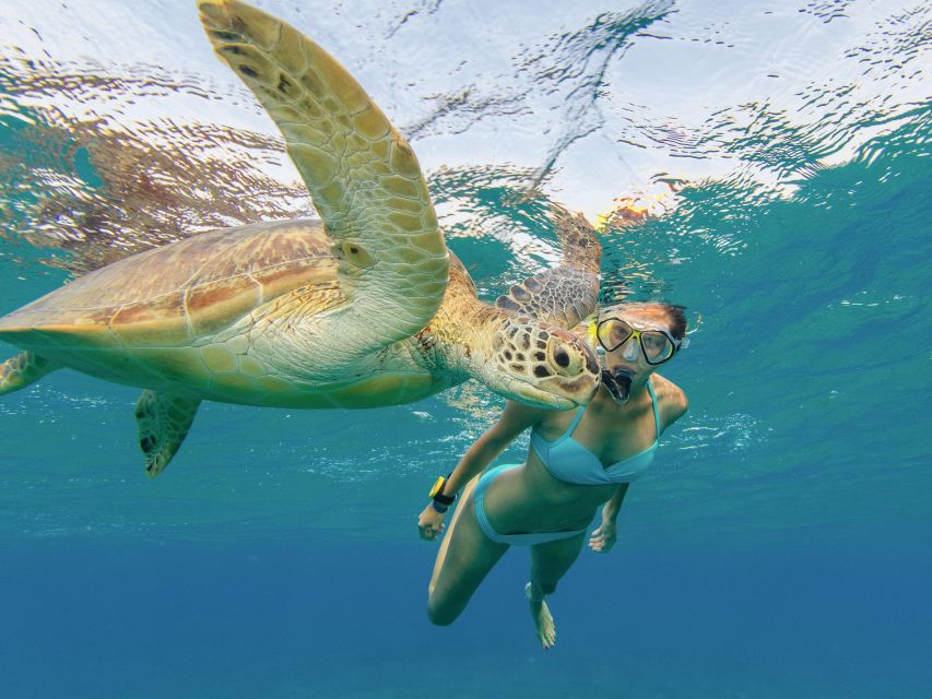 Honolulu: Snorkel With Turtles, Water Scooter, Paddleboard - Food and Refreshments