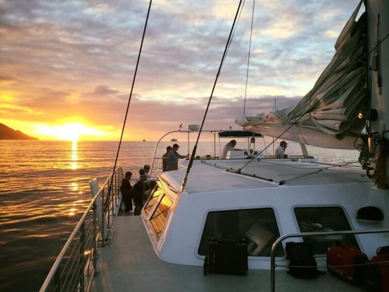 Honolulu Sunset Sail - The Experience: What Youll Love and What to Consider