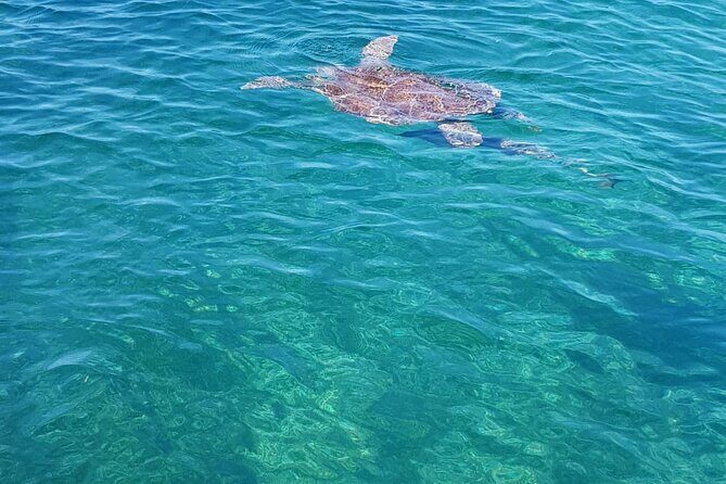 Honor Roll Private Bahamas Boat Charter - An In-Depth Look at the Experience