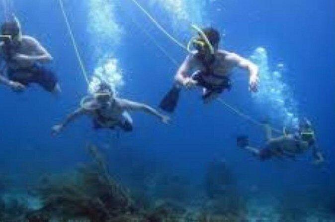 Hookah Diving Adventure in Zihuatanejo - What Youll Experience During the Tour