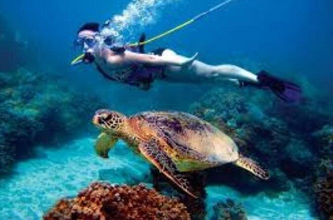 Hookah Diving Adventure in Zihuatanejo - Who Should Consider This Experience?