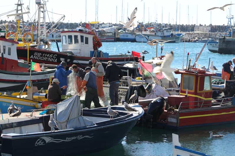 Hooked on Sesimbra - Key Points