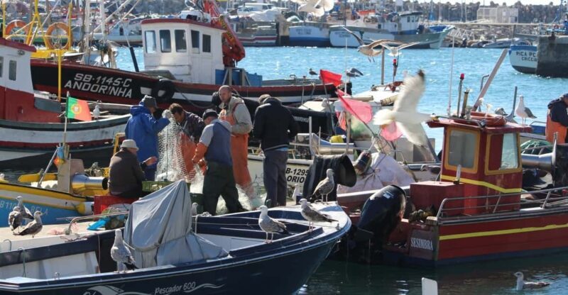 Hooked on Sesimbra - Analyzing the Value: Price and Experience