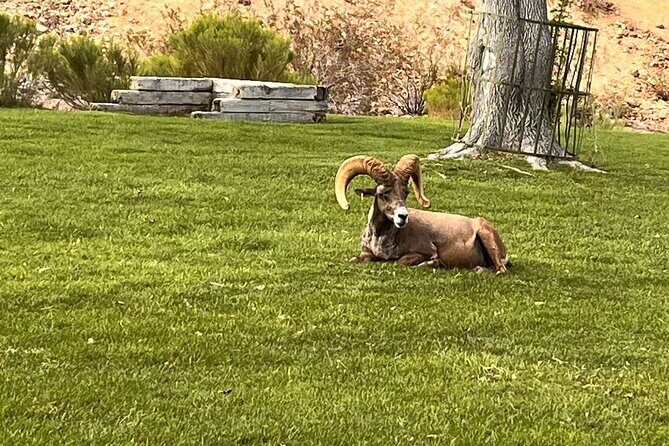 Hoover Dam, 7 Magic Mountains Small Group Half-Day Express Tour - The Sum Up