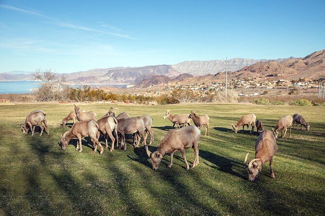 Hoover Dam Tour, Seven Magic Mountains & Las Vegas Sign Stop - FAQs