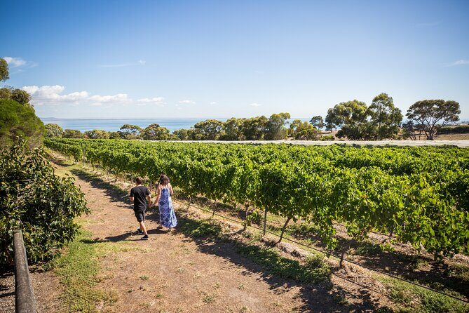 Hop On Hop Off Bellarine Bellarine Peninsula - Practical Tips for Making the Most of It