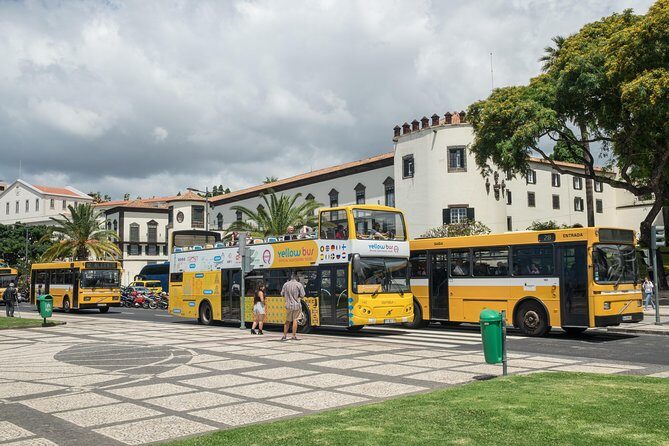 Hop-on Hop-off Bus Tour and Catamaran Whale & Dolphin Watching - Who Should Consider This Tour?