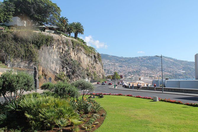 Hop-on Hop-off Bus Tour and Catamaran Whale & Dolphin Watching - Frequently Asked Questions