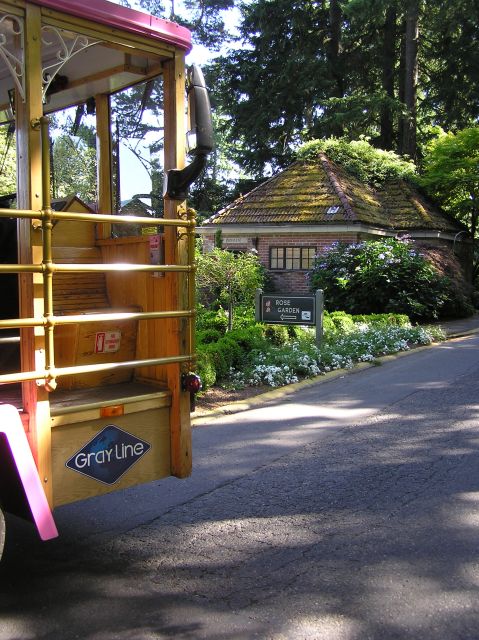 Hop-On Hop-Off Gray Line Pink Trolley Tour - 1 Day Ticket - Departure Location and Access Details