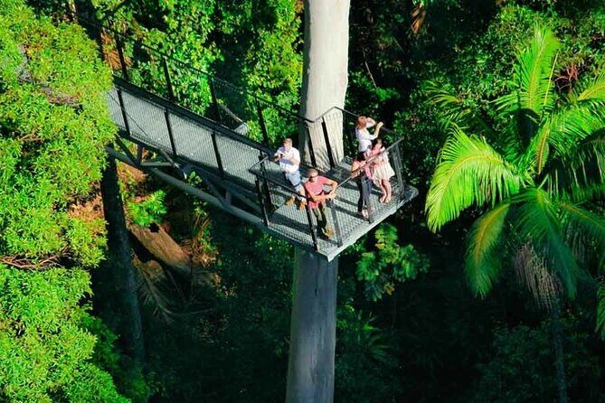 Hop on Hop off - Tamborine Rainforest Skywalk + Glow Worm Caves - The Itinerary in Detail