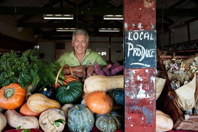 Hop on Hop off - Tamborine Rainforest Skywalk + Glow Worm Caves - The Sum Up