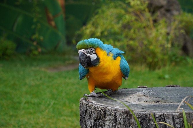 Hop-On Hop-Off Tour in Hanover in a Double-Decker Bus - Key Points