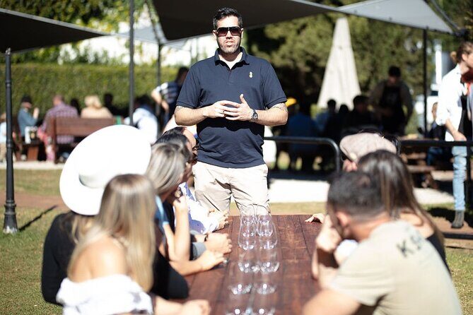 Hop on Hop off Wine tasting tour to Tamborine Mountain - Key Points