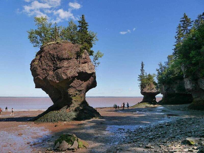 Hopewell Cape: Hopewell Rocks Admission - Discovering Hopewell Rocks: What to Expect