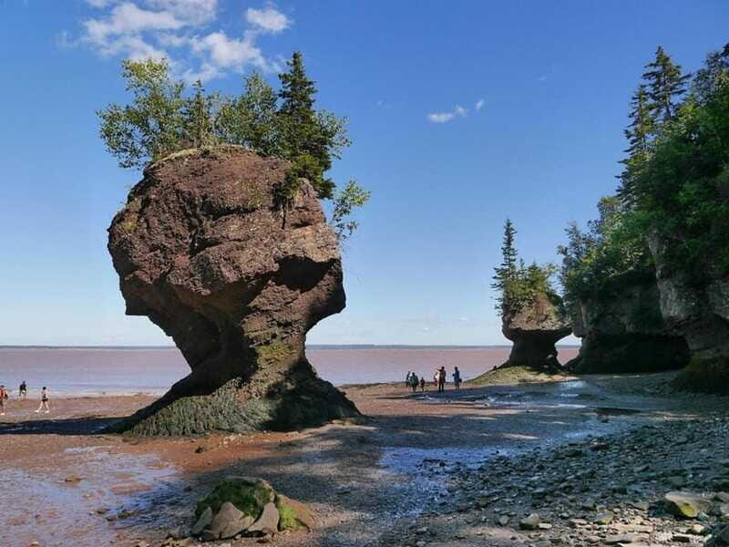 Hopewell Cape: Hopewell Rocks Admission - Who Will Love This Experience?