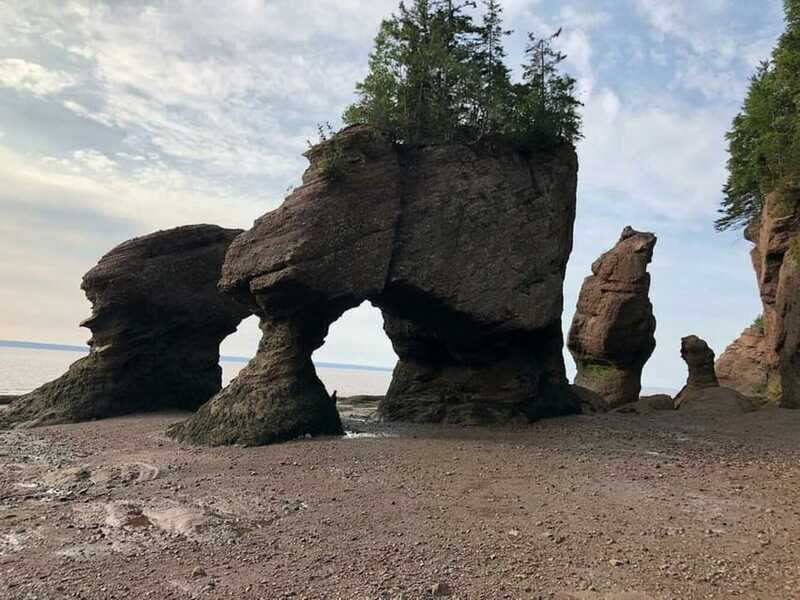 Hopewell Cape: Hopewell Rocks Admission - The Sum Up