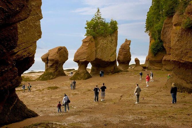 Hopewell Rocks Admission - Introduction