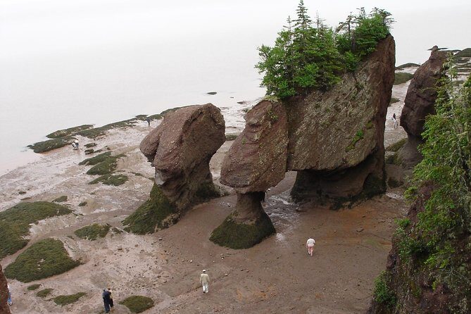 Hopewell Rocks Admission - A Close Look at Hopewell Rocks