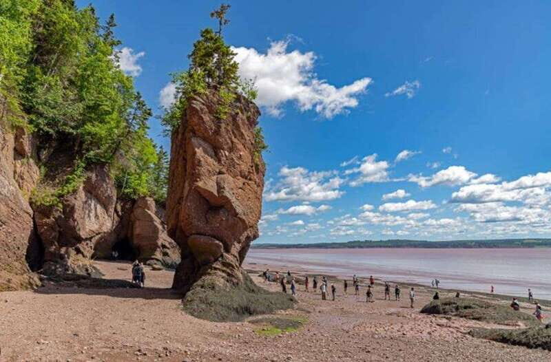 Hopewell Rocks and Fundy National Park Private Tour - An In-Depth Look at the Tour Experience