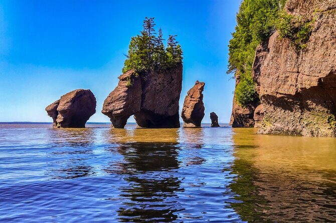 Hopewell Rocks Bay of Fundy Tour - An In-Depth Look at the Itinerary