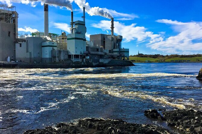 Hopewell Rocks Bay of Fundy Tour - What Travelers Are Saying