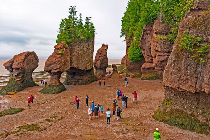 Hopewell Rocks Express Tour From Moncton - Inclusions