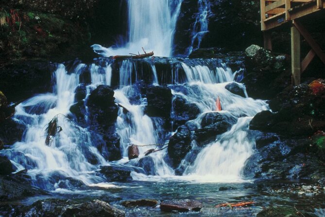 Hopewell Rocks Express Tour From Moncton - Reviews and Ratings