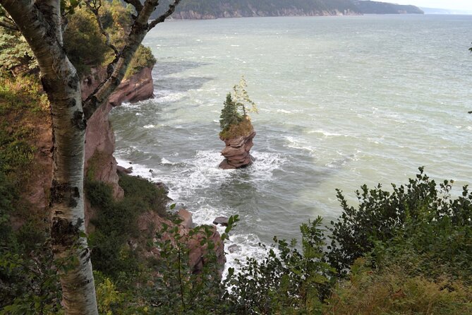 Hopewell Rocks Express Tour From Moncton - Booking Confirmation
