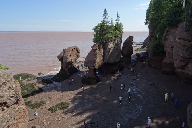 Hopewell Rocks Express Tour From Moncton - Traveler Considerations