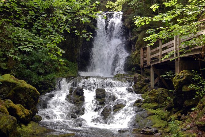 Hopewell Rocks Express Tour From Moncton - Frequently Asked Questions
