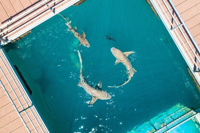 Horizontal Falls Helicopter Adventure from Broome - The Sum Up