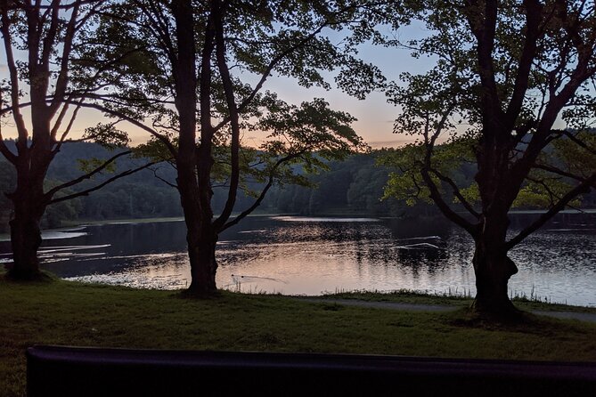 Horse and Carriage Ride Through Moses H. Cone Park - Good To Know