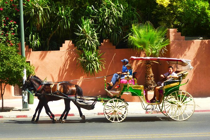 Horse and Carriage Ride With Majorelle Garden - Tips for Your Visit